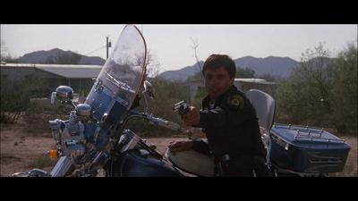 Electra Glide in Blue