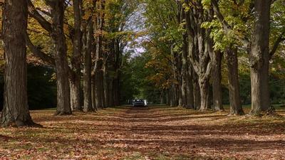 ItFollows