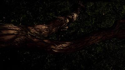 ItFollows