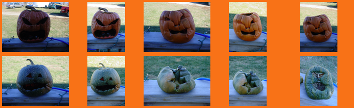 Jack-o'-lanterns: 2010