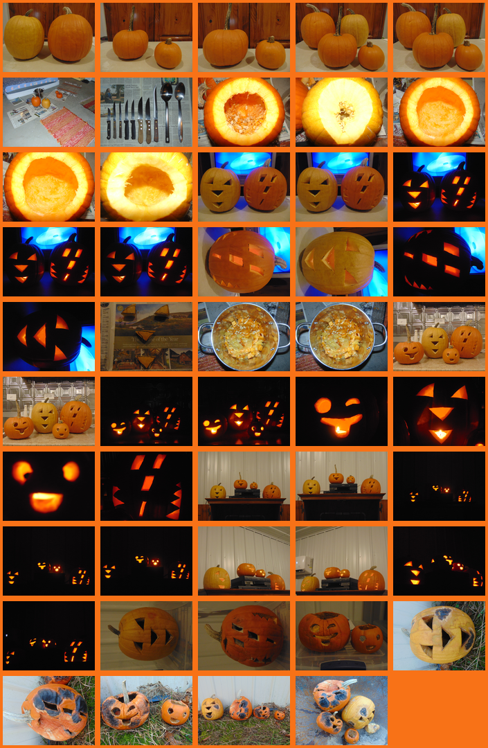 Jack-o'-lanterns: 2021