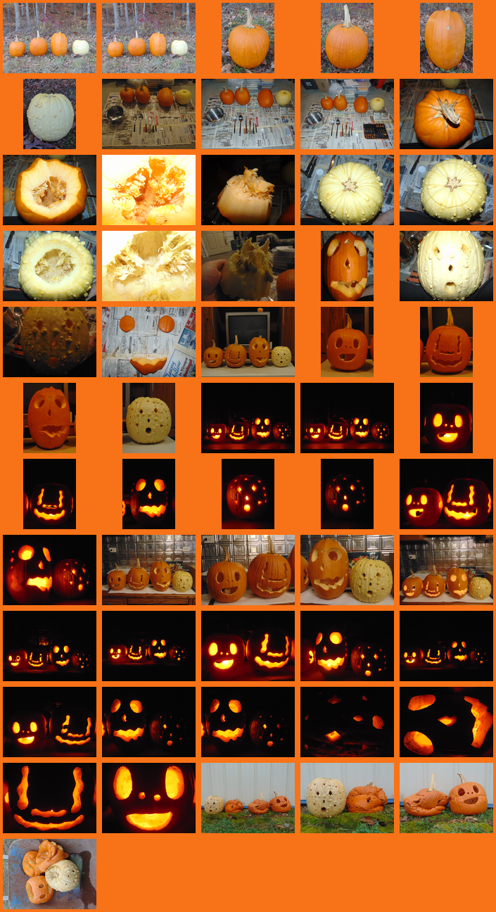 Jack-o'-lanterns: 2022