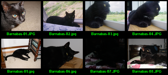 Barnabas